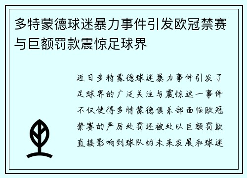 多特蒙德球迷暴力事件引发欧冠禁赛与巨额罚款震惊足球界