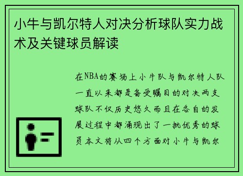 小牛与凯尔特人对决分析球队实力战术及关键球员解读