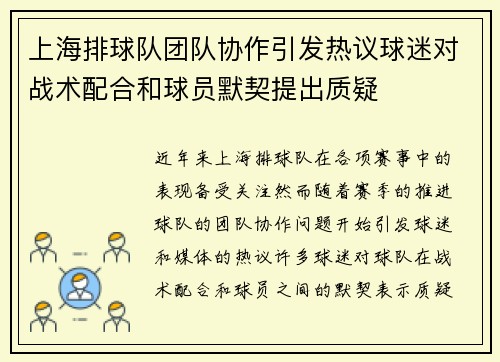 上海排球队团队协作引发热议球迷对战术配合和球员默契提出质疑